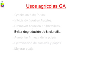 Usos agrícolas GA
-
-
-
-
-
-
-
Crecimiento de frutos.
Inhibición floral en frutales.
Promover floración en hortalizas.
Evitar degradación de la clorofila.
Aumentar firmeza de la pulpa.
Germinación de semillas y papas
Mejorar cuaja
 