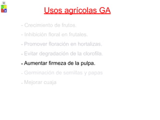 Usos agrícolas GA
-
-
-
-
-
-
-
Crecimiento de frutos.
Inhibición floral en frutales.
Promover floración en hortalizas.
Evitar degradación de la clorofila.
Aumentar firmeza de la pulpa.
Germinación de semillas y papas
Mejorar cuaja
 