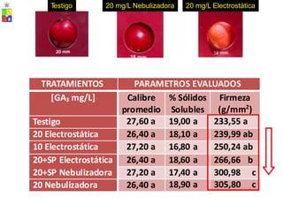 T
estigo 20 mg/L Nebulizadora 20 mg/L Electrostática
Calibre
promedio
% Sólidos
Solubles
Firmeza
(g/mm2
)
27,60 a 19,00 a 233,55 a
26,40 a 18,10 a 239,99 ab
27,20 a 16,80 a 250,24 ab
26,40 a 18,60 a 266,66 b
27,20 a 17,40 a 300,98 c
26,40 a 18,90 a 305,80 c
[GA3 mg/L]
Testigo
20 Electrostática
10 Electrostática
20+SP Electrostática
20+SP Nebulizadora
20 Nebulizadora
TRATAMIENTOS PARAMETROS EVALUADOS
 