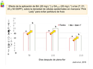 14
0
12
0 D BA + GA4 +7
ontro
D
!o... --.
~
E
b
10
0
g-
E
-~
- ~ 80
-~ -~
])
"'O "'O
ro z
60
4
0
"'O ..._
2
0
(])
o
a
b
e
a a
b
,~ -
,~ - -
75 100 210
Días después de plena flor
Joshi et al., 2018
(/)
(])
ro
E
(]) T""
~
g
-
-~
-
--
-~
(]) (
"'O
"'O O
ro
(/)
e
o
Efecto de la aplicación de BA (20 mg.L-1) y GA 4+7 (20 mg.L-1) a los (7; 21;
35 y 50 DDPF), sobre la densidad de células epidermales en manzana “Pink
Lady” para evitar partidura de fruto
 