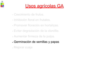 Usos agrícolas GA
-
-
-
-
-
-
-
Crecimiento de frutos.
Inhibición floral en frutales.
Promover floración en hortalizas.
Evitar degradación de la clorofila.
Aumentar firmeza de la pulpa.
Germinación de semillas y papas
Mejorar cuaja
 