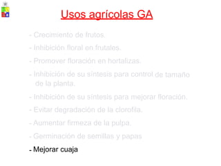 Usos agrícolas GA
-
-
-
-
Crecimiento de frutos.
Inhibición floral en frutales.
Promover floración en hortalizas.
Inhibición de su síntesis para control
de la planta.
de tamaño
-
-
-
-
-
Inhibición de su síntesis para mejorar
Evitar degradación de la clorofila.
Aumentar firmeza de la pulpa.
Germinación de semillas y papas
Mejorar cuaja
floración.
 