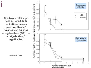 Corazón
L
-
i
3
5
-
T-
'-
~
-
Q)
e
o..
O.
>
Cambios en el tiempo
de la actividad de la
neutral invertasa en
peras var. Kousui”
tratadas y no tratadas
T-
' e
E
Q)
(/)
O>
o
-
e
E
con giberelinas (GA). ns ~
:
-
~
5
no significativo,
significativo
* o
(1
3
Q)
(/)
(1
3
t::
-
::::,
Q)
z
Zhang et al., 2007
o 7 14 2
8
35 42 49 56 63
2
1
DD
ía
as
ysde
as
ftp
eu
réts
red
ae
tm
l
Actividad
neutral
invertasa
(nmol
glucosa.min
-1
.
g
proteína
-1
) ns
MesC
oo
cra
erpo
(corazón)
~ GA
ns Endocarpo
(pF
ulle
ps
ah)
GA
-o- C
Co
on
nt
tr
ro
o
l l
 