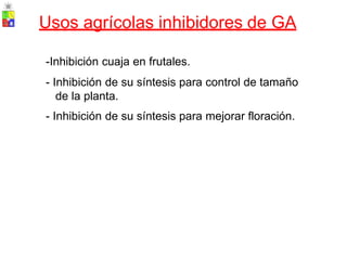 Usos agrícolas inhibidores de GA
-Inhibición cuaja en frutales.
- Inhibición de su síntesis para control de tamaño
de la planta.
- Inhibición de su síntesis para mejorar floración.
 