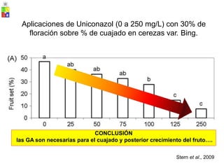 Aplicaciones de Uniconazol (0 a 250 mg/L) con 30% de
floración sobre % de cuajado en cerezas var. Bing.
Stern et al., 2009
CONCLUSIÓN
las GA son necesarias para el cuajado y posterior crecimiento del fruto….
 