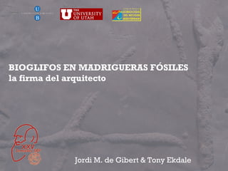 BIOGLIFOS EN MADRIGUERAS FÓSILES la firma del arquitecto Jordi M. de Gibert & Tony Ekdale 
