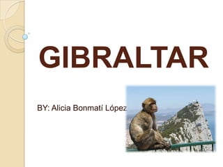 GIBRALTAR
BY: Alicia Bonmatí López
 