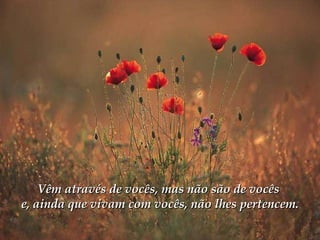 Vêm através de vocês, mas não são de vocês  e, ainda que vivam com vocês, não lhes pertencem. 