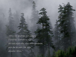 “ Ellos los  querrán  por siempre Y tendrán  también su nido, del cual algún día, ellos solos quedarán,  pero fue su nido y su  vida,  déjenlos  libres.” 