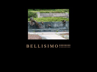 B E L L I S I M O !!!!!!!!
 