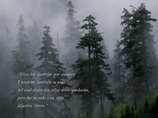 ““Ellos los querrán por siempreEllos los querrán por siempre
Y tendrán también su nido,Y tendrán también su nido,
del cual algún día, ellos solos quedarán,del cual algún día, ellos solos quedarán,
pero fue su nido y su vida,pero fue su nido y su vida,
déjenlos libres.”déjenlos libres.”
 