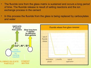 • The fluoride ions from the glass matrix is sustained and occurs a long period
of time. The fluoride release is result of setting reactions and the ion
exchange process in the cement
• In this process the fluoride from the glass is being replaced by carboxylates
and water
Initial
dissolution
for
starting
reaction
ALUMINO-SILICATE
PARTICLE
CEMENT
MATRIX
rapid early
F release
from matrix Slow long term
F release
by diffusion
from particle
F-1
,
Ca+2
, Al+3
, Si+4
 