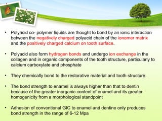 • Polyacid co- polymer liquids are thought to bond by an ionic interaction
between the negatively charged polyacid chain of the ionomer matrix
and the positively charged calcium on tooth surface.
• Polyacid also form hydrogen bonds and undergo ion exchange in the
collagen and in organic components of the tooth structure, particularly to
calcium carboxylate and phosphate
• They chemically bond to the restorative material and tooth structure.
• The bond strength to enamel is always higher than that to dentin
because of the greater inorganic content of enamel and its greater
homogenicity from a morphological standpoint
• Adhesion of conventional GIC to enamel and dentine only produces
bond strength in the range of 6-12 Mpa
 