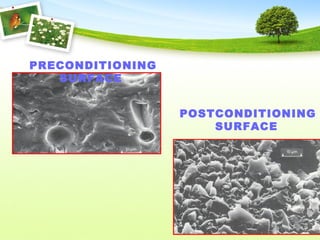 POSTCONDITIONING
SURFACE
PRECONDITIONING
SURFACE
 
