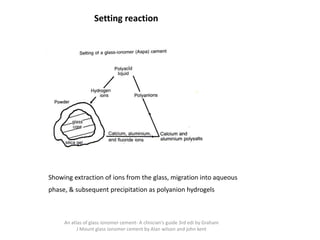 Setting reaction
Showing extraction of ions from the glass, migration into aqueous
phase, & subsequent precipitation as polyanion hydrogels
An atlas of glass ionomer cement- A clinician's guide 3rd edi by Graham
J Mount glass ionomer cement by Alan wilson and john kent
 