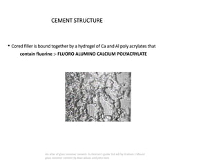 CEMENT STRUCTURE
• Cored filler is bound together by a hydrogel of Ca and Al poly acrylates that
contain fluorine :- FLUORO ALUMINO CALCIUM POLYACRYLATE
An atlas of glass ionomer cement- A clinician's guide 3rd edi by Graham J Mount
glass ionomer cement by Alan wilson and john kent
 