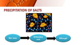 Silica gel
Na+ ions
Orthosilicic
acid
 