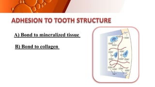 A) Bond to mineralized tissue
B) Bond to collagen
 