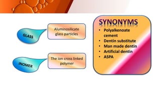 Aluminosilicate
glass particles
The ion cross linked
polymer
• Polyalkenoate
cement
• Dentin substitute
• Man made dentin
• Artificial dentin
• ASPA
 