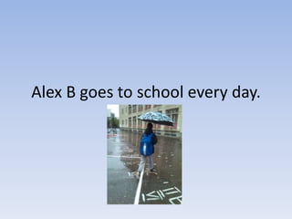Alex B goes to school every day.
 