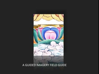 1 A GUIDED IMAGERY FIELD GUIDE   