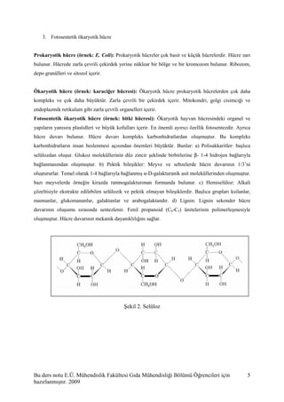 Gıda biyokimyası ders notu | PDF