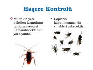 Haşere Kontrolü 
Mutfakta yere 
dökülen kırıntıların 
temizlenmemesi 
hamamböceklerine 
yol açabilir. 
• Çöplerin 
kapatılmaması da 
sinekleri çekecektir. 
 