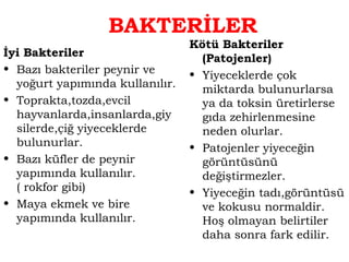 BAKTERİLER 
İyi Bakteriler 
• Bazı bakteriler peynir ve 
yoğurt yapımında kullanılır. 
• Toprakta,tozda,evcil 
hayvanlarda,insanlarda,giy 
silerde,çiğ yiyeceklerde 
bulunurlar. 
• Bazı küfler de peynir 
yapımında kullanılır. 
( rokfor gibi) 
• Maya ekmek ve bire 
yapımında kullanılır. 
Kötü Bakteriler 
(Patojenler) 
• Yiyeceklerde çok 
miktarda bulunurlarsa 
ya da toksin üretirlerse 
gıda zehirlenmesine 
neden olurlar. 
• Patojenler yiyeceğin 
görüntüsünü 
değiştirmezler. 
• Yiyeceğin tadı,görüntüsü 
ve kokusu normaldir. 
Hoş olmayan belirtiler 
daha sonra fark edilir. 
 