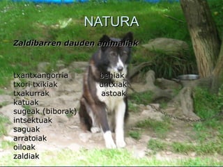 Paularen txokoa............................................Euskal Herri kalea 