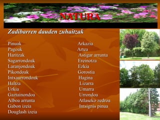 Kiskitza.....................................................Euskal Herrria Kalea 