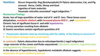 Vomition: Occurs frequently: Dog (Brachycephalic) Pyloric obstruction, Cat, and Pig
unusual: Horse, Cattle, Sheep and Goat
Ingestion of toxic materials
Traumatic reticulitis associated“ vagal indigestion. ”
Biochemical findings:
Acute: loss of large quantities of water and of H and Cl ions. These losses cause
dehydration, metabolic alkalosis with increased plasma HCO 3 , and hypochloremia.
Chronic: loss of significant tissue K and with hypokalemia.
1) urinary excretion resulting from alkalosis
2) Gastric secretions contain significant quantities of K
 Perpetuates alkalotic state by interfering with the ability of the kidney to conserve H+
 Renal tubular damage and in renal failure
In ruminants: Pyloric obstruction due to reticuloperitonitis ( vagal indigestion)
Large reservoir of the rumen and fluids sequestered : Metabolic alkalosis, hypochloremia,
and hypokalemia. (Abomasum)
In the absence of hypochloremic, hypokalemic metabolic alkalosis suggests more proximal
obstruction of rumen outflow (omasum)
 
