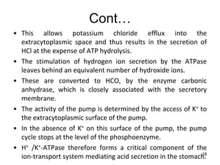 18
Cont…
• This allows potassium chloride efflux into the
extracytoplasmic space and thus results in the secretion of
HCl at the expense of ATP hydrolysis.
• The stimulation of hydrogen ion secretion by the ATPase
leaves behind an equivalent number of hydroxide ions.
• These are converted to HCO, by the enzyme carbonic
anhydrase, which is closely associated with the secretory
membrane.
• The activity of the pump is determined by the access of K+ to
the extracytoplasmic surface of the pump.
• In the absence of K+ on this surface of the pump, the pump
cycle stops at the level of the phosphoenzyme.
• H+ /K+-ATPase therefore forms a critical component of the
ion-transport system mediating acid secretion in the stomach.
 