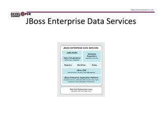 JBoss Enterprise Data Services
 