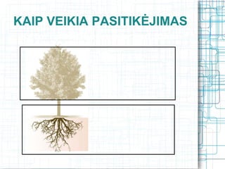 KAIP VEIKIA PASITIKĖJIMAS
 Keturi pasitikėjimo branduoliai




                                KOMPETEN-
               Rezultatai




                                  CIJA
               Sugebėjimai


               Ketinimai




                                CHARAKTE-
                                   RIS
               Principingumas
 