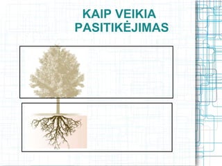 KAIP VEIKIA
          PASITIKĖJIMAS
Keturi pasitikėjimo branduoliai




                               KOMPETEN-
              Rezultatai




                                 CIJA
              Sugebėjimai


              Ketinimai




                               CHARAKTE-
                                  RIS
              Principingumas
 