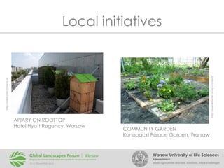 http://metromsn.gazeta.pl

http://kwiatkibratki.pl/wp-content/

Local initiatives

APIARY ON ROOFTOP
Hotel Hyatt Regency, Warsaw

COMMUNITY GARDEN
Konopacki Palace Garden, Warsaw

Warsaw University of Life Sciences
Dr Renata Giedych

Urban agriculture: structure, functions, future challenges

 