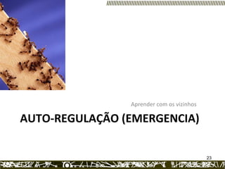 AUTO-REGULAÇÃO (EMERGENCIA)  Aprender com os vizinhos 