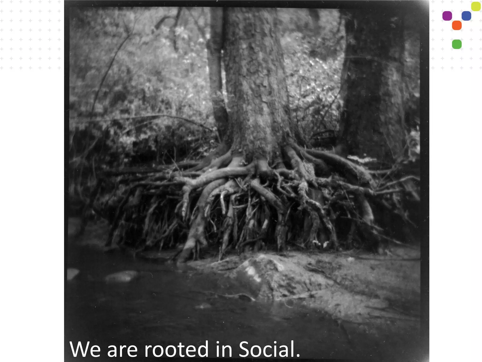 We are rooted in Social.
 