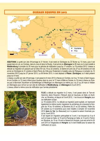 OISEAUX EQUIPES EN 2012
AQUITANIA a quitté son site d’hivernage le 21 février. Il est resté en Dordogne du 23 février au 13 mars, puis il est
passé dans le Lot, en Corrèze, dans le Jura et dans le Doubs. Il est arrivé en Allemagne le 28 mars où il s’est installé à
Waldkraiburg à compter du 30 mars pour la période de nidification jusqu’au 17 octobre. Le 19 octobre 2012, l’oiseau a
débuté sa migration en passant par la Côte d’Or (du 19 au 22 octobre), la Saône et Loire (du 27 au 29 octobre) et il est
arrivé en Dordogne le 31 octobre à Saint Pierre de Côle pour finalement s’installer près de Périgueux à compter du 10
novembre 2012 jusqu’au 27 janvier 2013. Le 06 février 2013, il s’est déplacé à Plazac (Dordogne) où il était présent
jusqu’au 9 mars.
L’oiseau a quitté son site d’hivernage, il est passé le 9 mars 2013 à Naves en Corrèze, du 9 au 10 mars à Saint Augus-
tin en Corrèze, le 12 mars à Mont sous Vaudrey dans le Jura, le 17 mars à Bâle en Suisse, le 19 mars à Aarau en Suis-
se puis à Bonndorf, Buckheim et Schelkilingen et Medlingen en Allemagne ce même jour, du 21 au 24 mars à Velden
en Allemagne pour arriver sur son site de nidification à Waldkraiburg en Allemagne le 5 avril 2013.
L’oiseau utilise la même zone de nidification que l’année précédente.
FLOC a débuté sa migration le 2 mars, il est passé dans le Tarn-et-
Garonne, dans l’Aveyron, l’Hérault, dans le Vaucluse, en Italie, en Autri-
che, en Slovénie, et depuis le 9 avril 2012, il se trouve en Hongrie pour
sa nidification à Szar.
Le 16 octobre 2012, il a débuté sa migration post-nuptiale, en reprenant
également le même couloir migratoire du printemps et a traversé la Hon-
grie (du 16 au 19 octobre), la Slovénie (du 21 au 22 octobre), l’Italie (du
24 octobre au 8 novembre) puis s’est installé à compter 25 novembre
2012 dans le Var (Le Beausset) où il a passé la saison hivernale jus-
qu’au 3 avril 2013.
Il est reparti en migration prénuptiale le 3 avril, il se trouvait du 4 au 8
avril à Casei en Italie, le 10 avril à Pianengo en Italie, le 13 avril à Tolmin
en Slovénie, du 15 au 18 avril a Herend en Hongrie, puis est arrivé le 20
avril 2013 à Vargesztes en Hongrie où il s’est installé pour la saison de
nidification en cours.Crédit photo : Dominique Gest
 