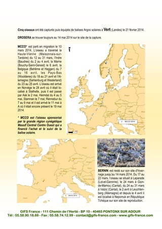 GIFS FranceGIFS FranceGIFS FranceGIFS France ---- 111 Chemin de l’Herté111 Chemin de l’Herté111 Chemin de l’Herté111 Chemin de l’Herté ---- BP 10BP 10BP 10BP 10 ---- 40465 PONTONX SUR ADOUR40465 PONTONX SUR ADOUR40465 PONTONX SUR ADOUR40465 PONTONX SUR ADOUR
Tél : 05.58.90.18.69Tél : 05.58.90.18.69Tél : 05.58.90.18.69Tél : 05.58.90.18.69 ---- Fax : 05.58.74.12.99Fax : 05.58.74.12.99Fax : 05.58.74.12.99Fax : 05.58.74.12.99 ---- contact@gifscontact@gifscontact@gifscontact@gifs----france.comfrance.comfrance.comfrance.com ---- www.gifswww.gifswww.gifswww.gifs----france.comfrance.comfrance.comfrance.com
Cinq oiseaux ont été capturés puis équipés de balises Argos solaires à Vert (Landes) le 21 février 2014.
DROSERA se trouve toujours au 14 mai 2014 sur le site de la capture.
BERNIN est resté sur son site d’hiver-
nage jusqu’au 14 mars 2014. Du 17 au
22 mars, l’oiseau se situait à Laparade
(Lot-et-Garonne), le 24 mars à Gion-
de-Mamou (Cantal), du 24 au 31 mars
à Velzic (Cantal), le 2 avril à Leuchten-
berg (Allemagne) et depuis le 4 avril il
est localisé à Nepomuk en République
Tchèque sur son site de reproduction.
MCCO* est parti en migration le 10
mars 2014. L’oiseau a traversé la
Haute-Vienne (Maisonnais-sur-
Tardoire) du 12 au 31 mars, l’Indre
(Baudres) du 2 au 4 avril, la Marne
(Bouchy-Saint-Genest) le 6 avril, la
Belgique (Behême et Heggen) du 7
au 16 avril, les Pays-Bas
(Woolderes) du 18 au 21 avril et l’Al-
lemagne (Sahlenburg et Westerland)
du 23 au 25 avril. L’oiseau est arrivé
en Norvège le 28 avril où il était lo-
calisé à Stathelle, puis il est passé
par Ask le 2 mai, Heimdal du 4 au 5
mai, Stamnan le 7 mai; Rennebur du
7 au 9 mai et il est arrivé le 11 mai à
A où il était encore présent le 19 mai
2014.
* MCCO est l’oiseau sponsorisé
par la grande région cynégétique
Massif Central Centre Ouest qui a
financé l’achat et le suivi de la
balise solaire.
Crédit photo : François Sabathé
 