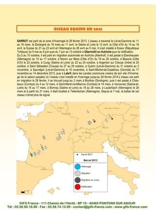 GIFS FranceGIFS FranceGIFS FranceGIFS France ---- 111 Chemin de l’Herté111 Chemin de l’Herté111 Chemin de l’Herté111 Chemin de l’Herté ---- BP 10BP 10BP 10BP 10 ---- 40465 PONTONX SUR ADOUR40465 PONTONX SUR ADOUR40465 PONTONX SUR ADOUR40465 PONTONX SUR ADOUR
Tél : 05.58.90.18.69Tél : 05.58.90.18.69Tél : 05.58.90.18.69Tél : 05.58.90.18.69 ---- Fax : 05.58.74.12.99Fax : 05.58.74.12.99Fax : 05.58.74.12.99Fax : 05.58.74.12.99 ---- contact@gifscontact@gifscontact@gifscontact@gifs----france.comfrance.comfrance.comfrance.com ---- www.gifswww.gifswww.gifswww.gifs----france.comfrance.comfrance.comfrance.com
OISEAU EQUIPE EN 2013
SARROT est parti de la zone d’hivernage le 28 février 2013. L’oiseau a traversé le Lot-et-Garonne du 11
au 16 mars, la Dordogne du 16 mars au 11 avril, la Saône et Loire le 13 avril, la Côte d’Or du 14 au 18
avril, la Suisse du 21 au 23 avril et l’Allemagne du 26 avril au 5 mai. Il s’est installé à Kosov (République
Tchèque) du 5 mai au 5 juin puis du 7 juin au 13 octobre à Obermühl en Autriche pour la nidification.
Du 5 au 10 octobre, il est parti en migration automnale en Autriche (Altenhof). Il est passé à Ebershausen
(Allemagne) du 15 au 17 octobre, à Noiron sur Bèze (Côte d’Or) du 19 au 20 octobre, à Beaune (Côte
d’Or) le 22 octobre, à Curgy (Saône et Loire) du 22 au 24 octobre, à Argenton sur Creuse (Indre) le 25
octobre, à Saint Sébastien (Creuse) du 27 au 29 octobre, à Guérin (Lot-et-Garonne) du 31 octobre au 3
novembre, à Sauméjan (Lot-et-Garonne) le 15 novembre, à Saint-Michel-de-Castelnau (Gironde) du 17
novembre au 14 décembre 2013, puis à Labrit dans les Landes (commune voisine de son site d’hiverna-
ge de la saison passée) où l’oiseau s’est installé en hivernage jusqu’au 26 février 2014.L’oiseau est parti
en migration le 28 février, il se trouvait jusqu’au 2 mars à Borrèze (Dordogne), puis il est passé à Chas-
teaux (Corrèze) du 4 au 12 mars, à Saint-Martin-la-Méanne (Corrèze) le 14 mars, à Verosvres (Saône-et-
Loire) du 16 au 17 mars, à Bonnay (Saône et Loire) du 19 au 26 mars, à Lauterbach (Allemagne) le 28
mars et à partir du 31 mars, il était localisé à Tiefenlachen (Allemagne). Depuis le 7 mai, la balise de cet
oiseau n’émet plus de signal.
Crédit photo : Dominique Gest
 