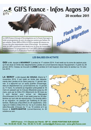 GIFS France - Infos Argos 30
20 octobre 2015
Le GIFS France (Groupe d’Investigations sur la Faune Sauvage) a
initié un programme de suivi de pigeons ramiers par balises Ar-
gos solaires. Entre 2009 et 2014, le GIFS a équipé 46 oiseaux au
niveau des plus importantes zones d’hivernage. En automne
2014, le GIFS a poursuivi cette étude avec la pose de 6 nouvelles
balises solaires. Ce programme sur 5 ans (2011/2015) est soutenu
financièrement par la Fédération Nationale des Chasseurs.
GIFS France - 111 Chemin de l’Herté - BP 10 - 40465 PONTONX SUR ADOUR
Tél : 05.58.90.18.69 - Fax : 05.58.74.12.99 - contact@gifs-france.com - www.gifs-france.com
Crédit photo : Dominique Ges
LES BALISES EN ACTIVITE
GIGI a été équipé à BOURRIOT (Landes) le 17 octobre 2014. Il est resté sur la zone de capture puis-
qu’il est situé en limite des départements Landes et Lot-et-Garonne depuis l’équipement. A partir du 29
janvier 2015, l’oiseau se trouvait à LOSSE (Landes) et il est toujours situé dans le secteur au 12 octo-
bre 2015.
LA BEROY a été équipé AU HOUGA (Gers) le 7
novembre 2014. Il est resté en limite des départe-
ments des Landes et du Gers jusqu’au 11 janvier der-
nier. Il a séjourné sur un autre quartier d’hivernage,
dans le département du Lot-et-Garonne du 13 janvier
au 17 mars. Il a entamé sa migration prénuptiale le 19
mars en passant par la Creuse (Mazeirat) jusqu’au 26
mars, puis par la Côte d’Or (Mesmont) du 28 mars au
5 avril dernier pour arriver en Allemagne
(Durchhausen) le 24 avril. Il est resté jusqu’au 26 sep-
tembre sur son site de reproduction. Il a ensuite débu-
té sa migration, en passant par Feldberg le 29 sep-
tembre, Mulhouse (Haut-Rhin) le 29 septembre, Che-
vigny-en-Valière (Côte-d’Or) du 1er au 8 octobre, Bus-
sière-Nouvelle (Creuse) du 11 au 18 octobre et il se
trouve à SAINTE-MARTHE (Lot-et-Garonne) le 20
octobre au soir.
 