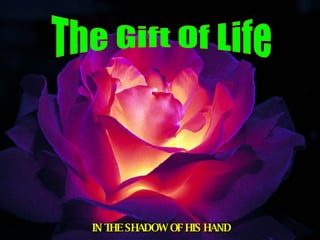 The Gift Of Life IN THE SHADOW OF HIS HAND 