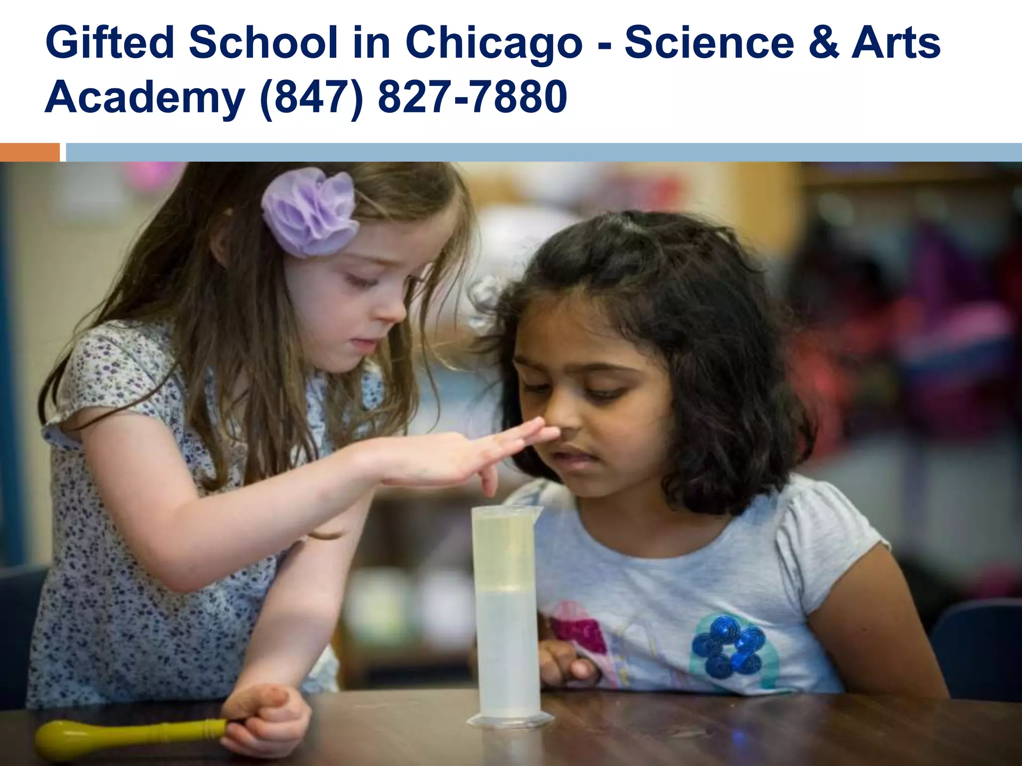 Gifted Education Chicago PPT