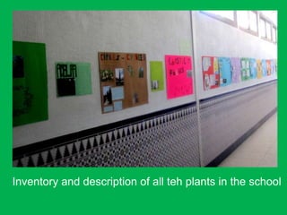 Inventory and description of all teh plants in the school
 