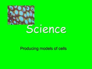 Science
Producing models of cells
 