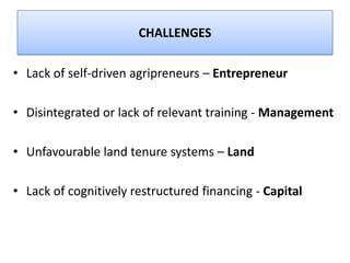 Gift mafuleka :cutting edge agric value chain financing | PPTX