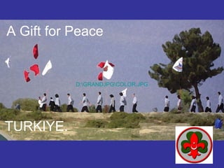 TURKIYE.   A Gift  for  Peace D:RANDJPGOLOR.JPG 
