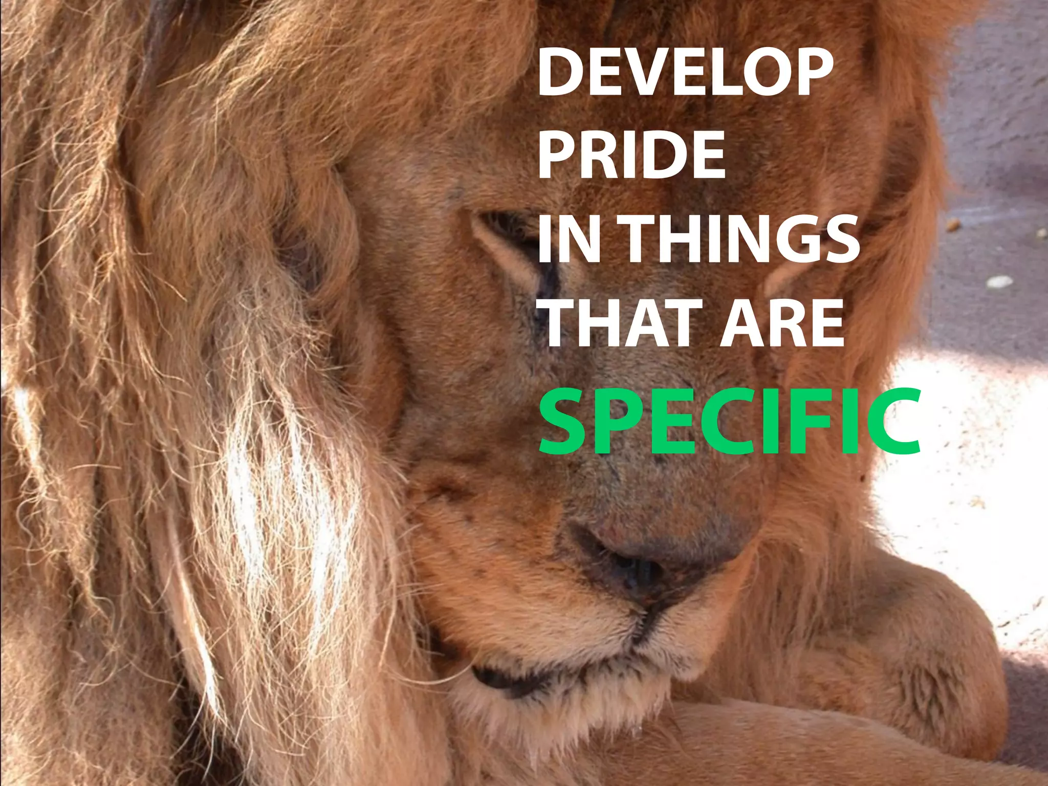 DEVELOP
PRIDE
IN THINGS
THAT ARE
SPECIFIC
 