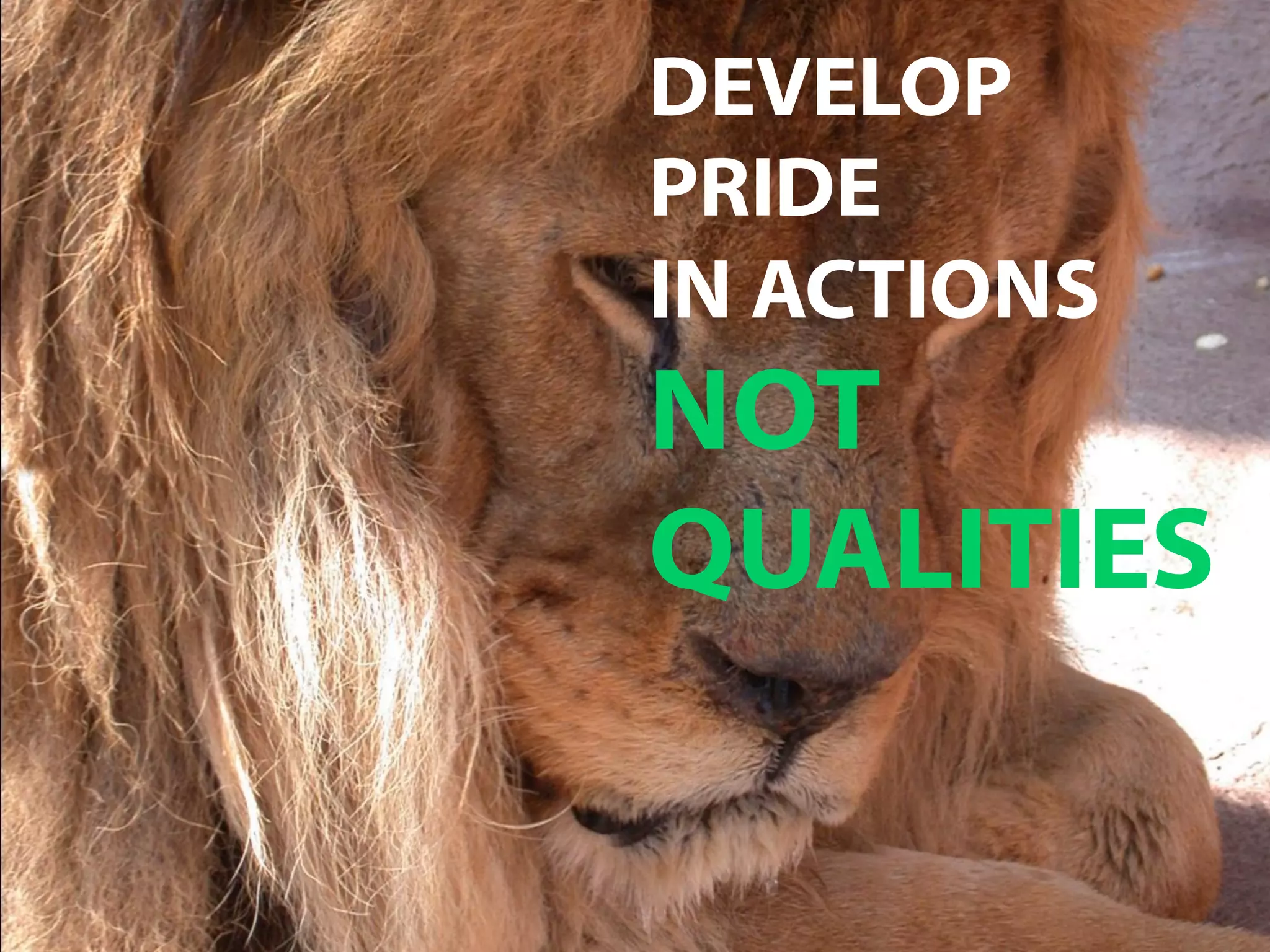 DEVELOP
PRIDE
IN ACTIONS
NOT
QUALITIES
 